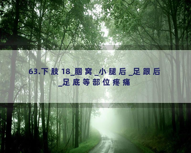 63.下肢18_腘窝_小腿后_足跟后_足底等部位疼痛