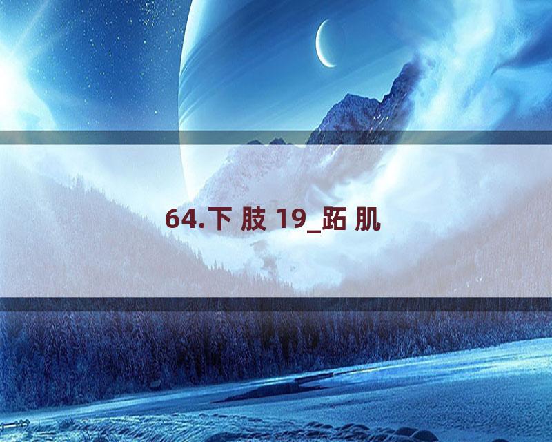 64.下肢19_跖肌