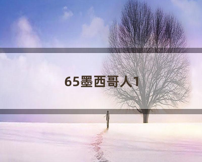65墨西哥人1