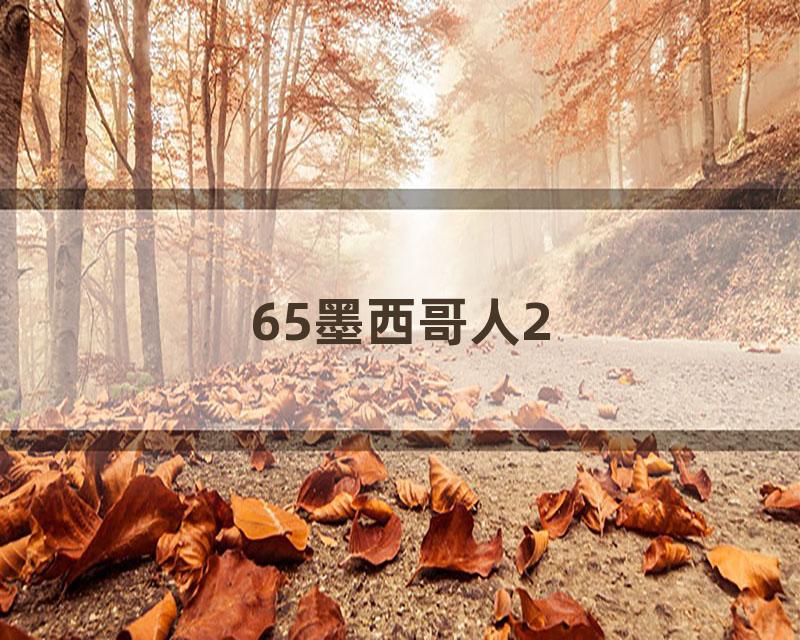 65墨西哥人2