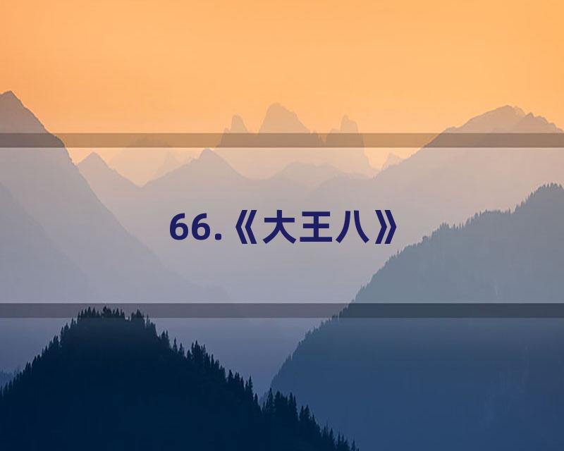66.《大王八》