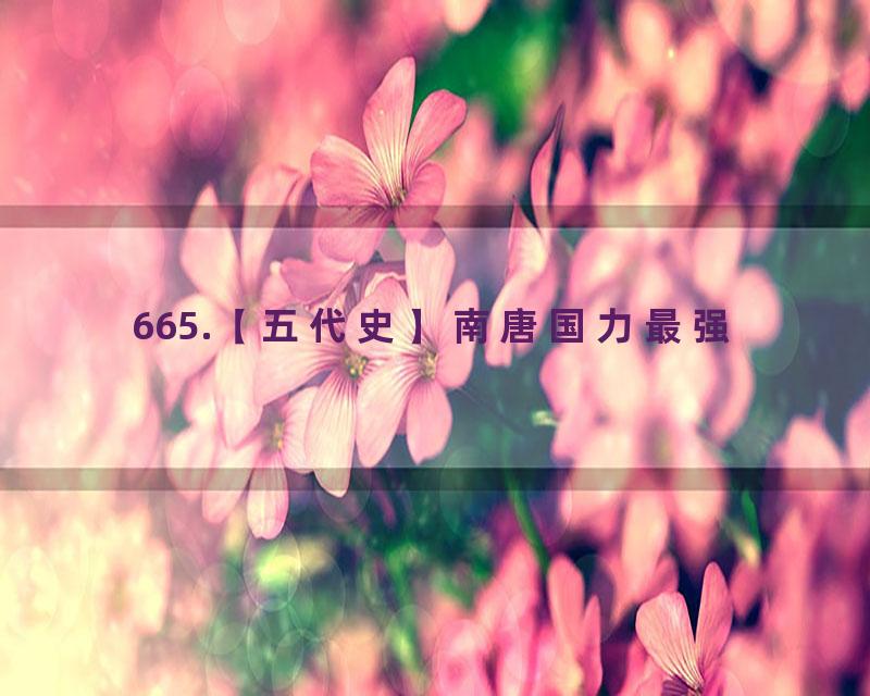 665.【五代史】南唐国力最强