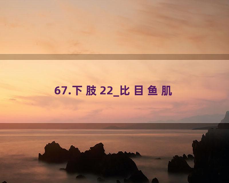67.下肢22_比目鱼肌