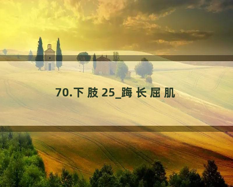 70.下肢25_踇长屈肌