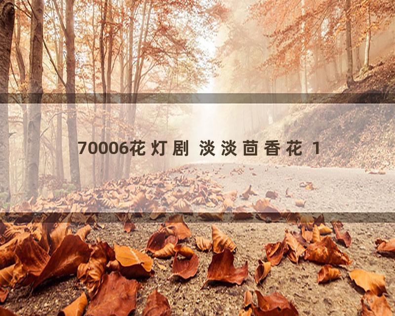 70006花灯剧 淡淡茴香花 1
