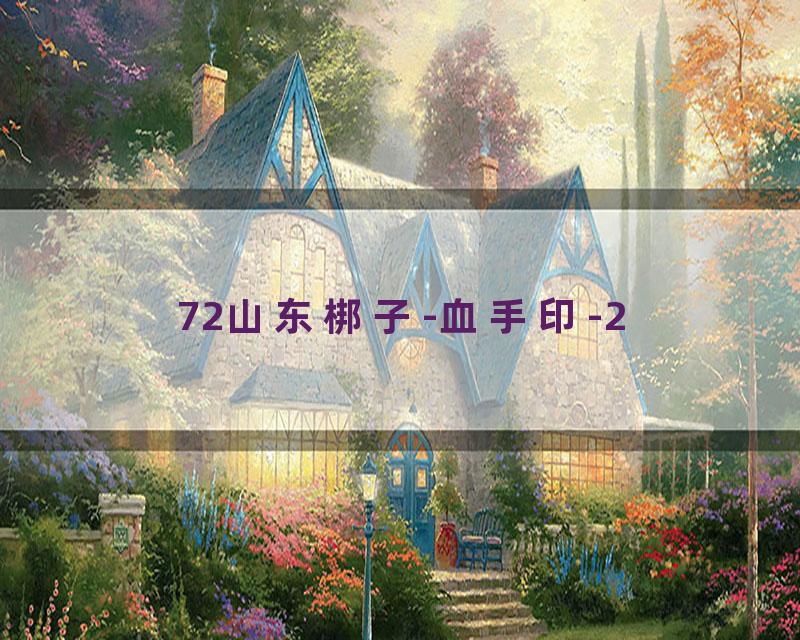 72山东梆子-血手印-2