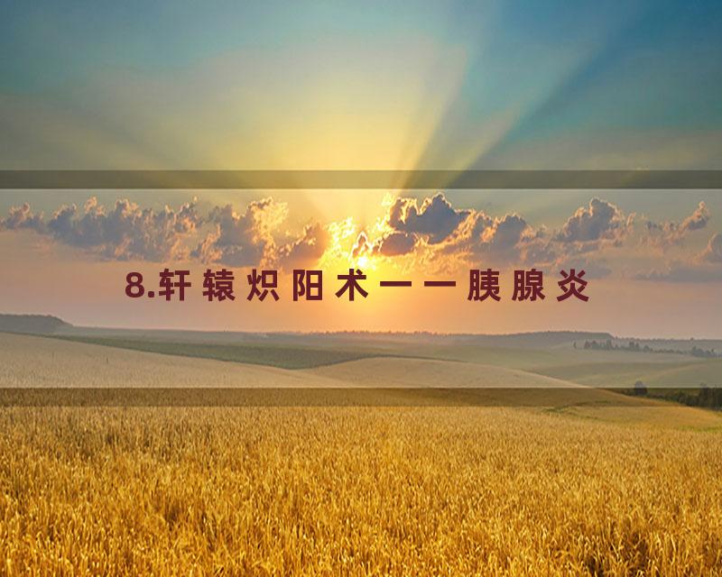 8.轩辕炽阳术一一胰腺炎