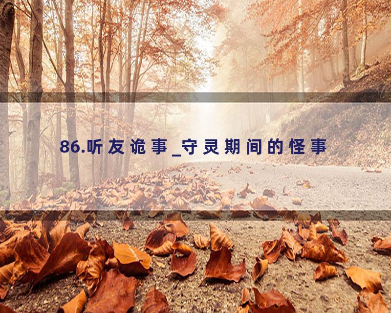 86.听友诡事_守灵期间的怪事