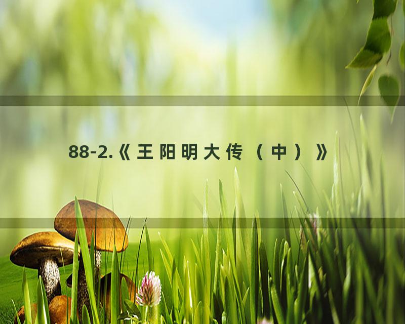 88-2.《王阳明大传（中）》