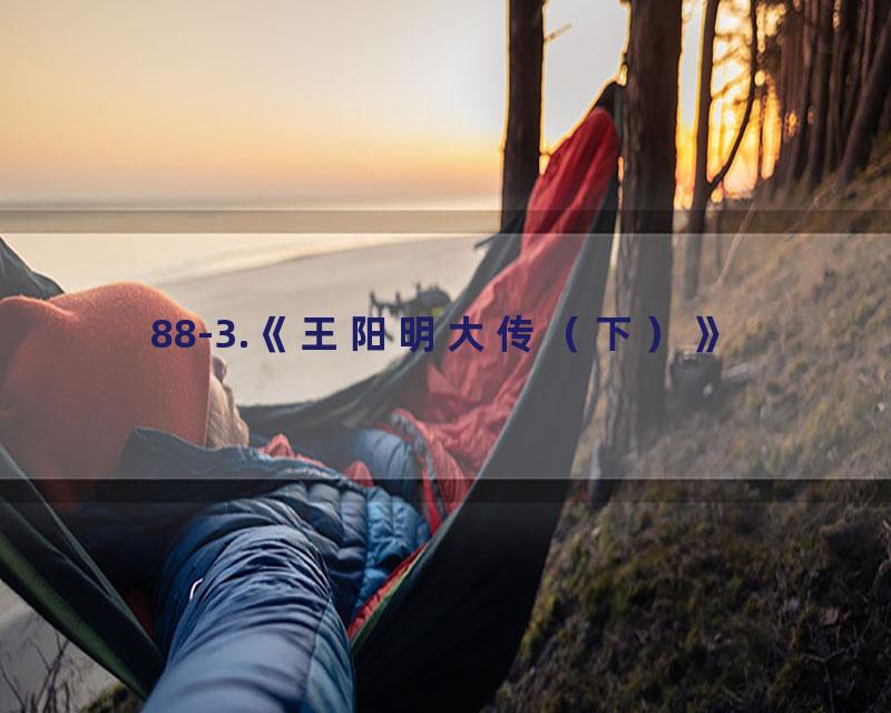 88-3.《王阳明大传（下）》