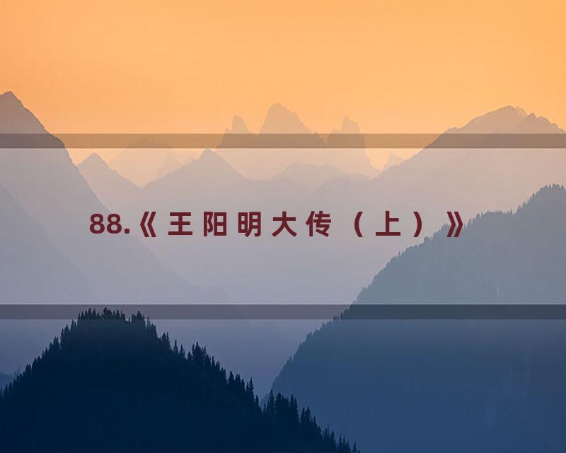 88.《王阳明大传（上）》