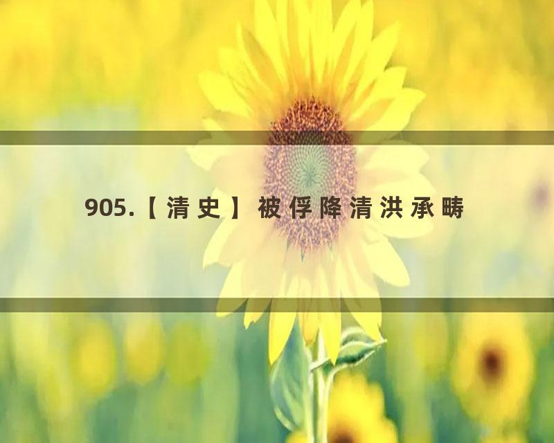 905.【清史】被俘降清洪承畴