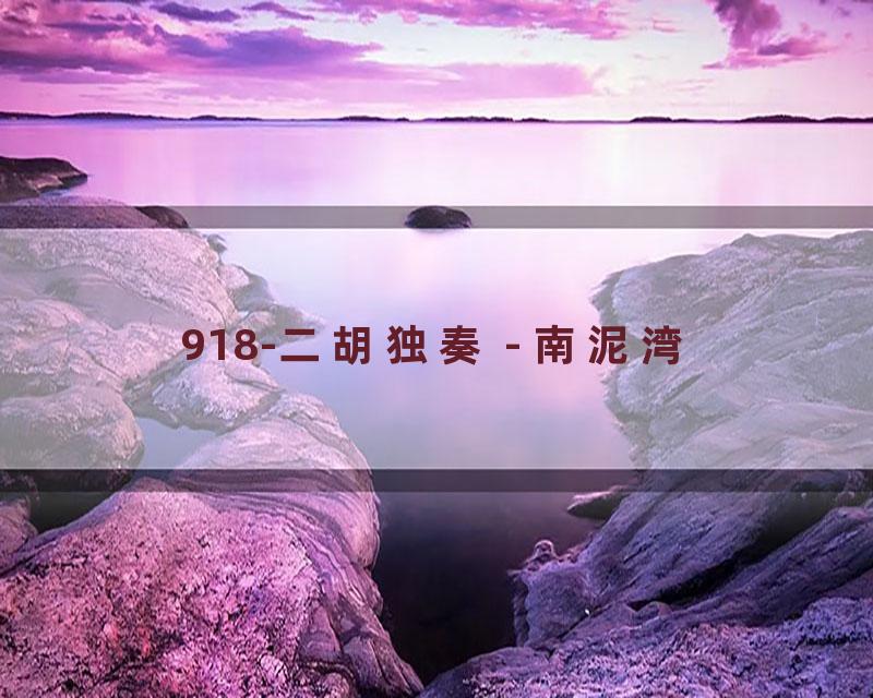 918-二胡独奏 - 南泥湾
