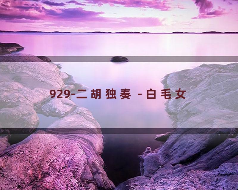 929-二胡独奏 - 白毛女