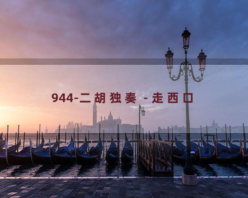 944-二胡独奏 - 走西口