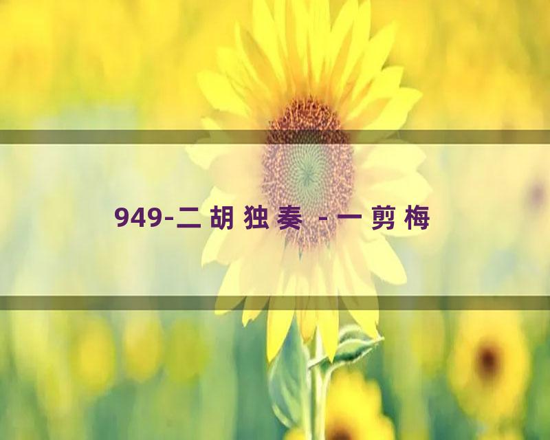 949-二胡独奏 - 一剪梅