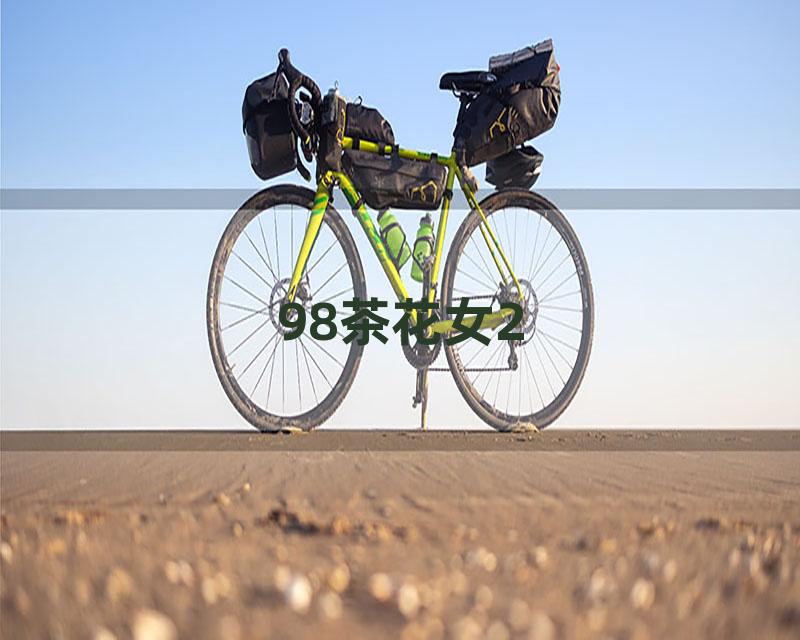 98茶花女2