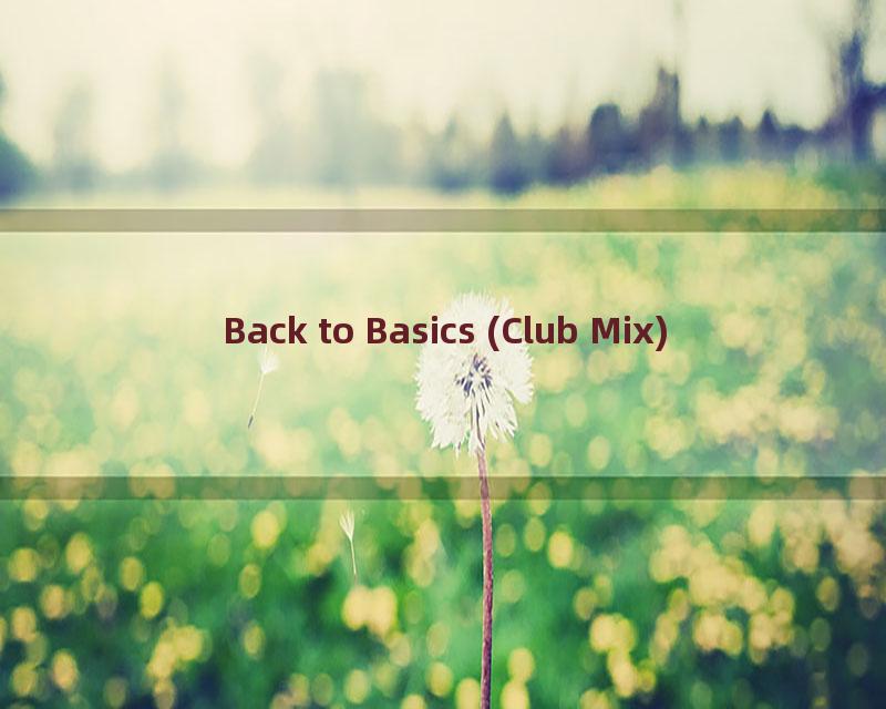 Back to Basics (Club Mix)