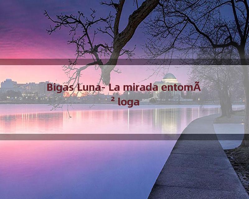 Bigas Luna- La mirada entomÃ²loga