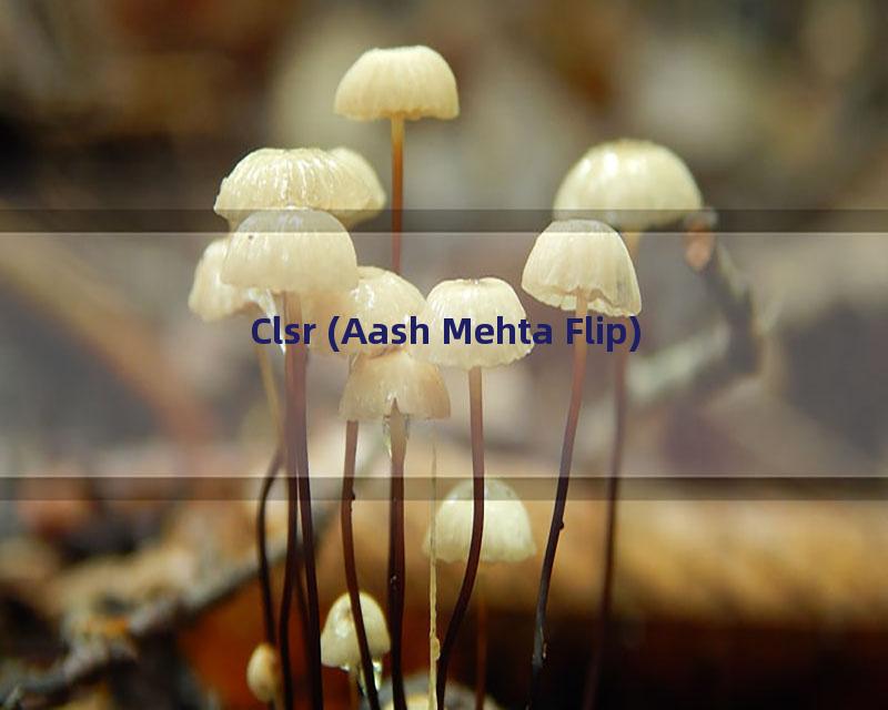 Clsr (Aash Mehta Flip)