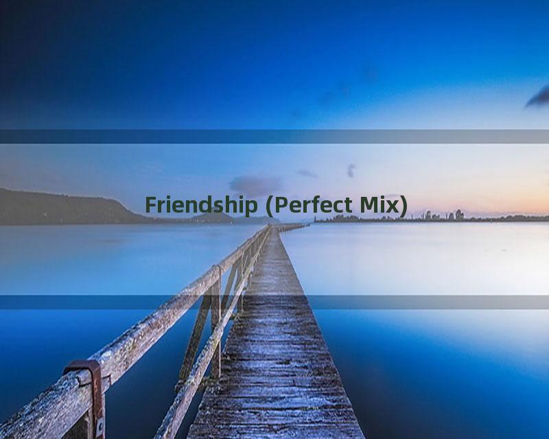 Friendship (Perfect Mix)