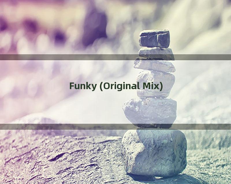 Funky (Original Mix)