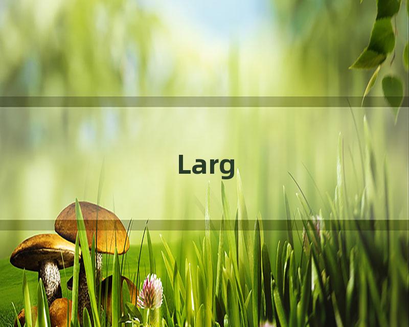 Larg