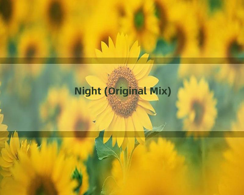 Night (Original Mix)