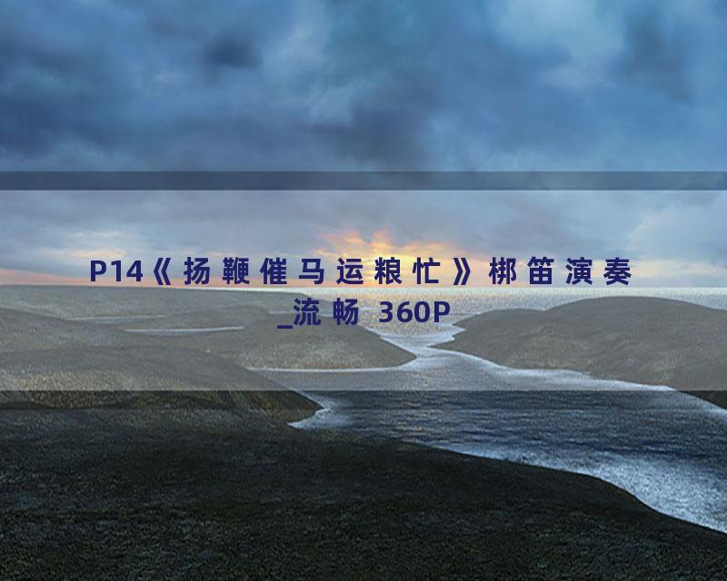 P14《扬鞭催马运粮忙》梆笛演奏_流畅 360P