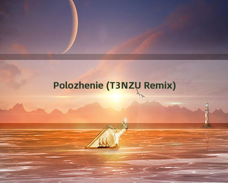 Polozhenie (T3NZU Remix)