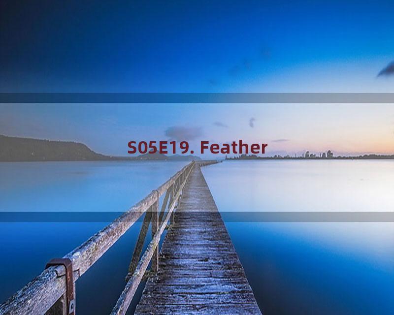 S05E19. Feather