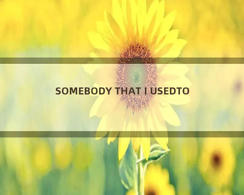 SOMEBODY THAT I USEDTO