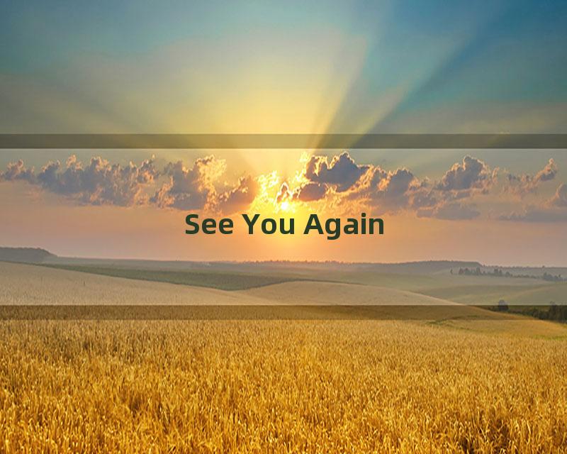 See You Again