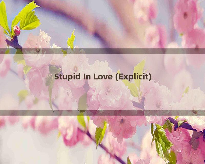 Stupid In Love (Explicit)
