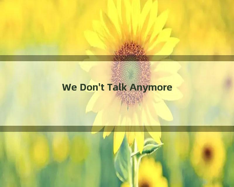 We Don't Talk Anymore