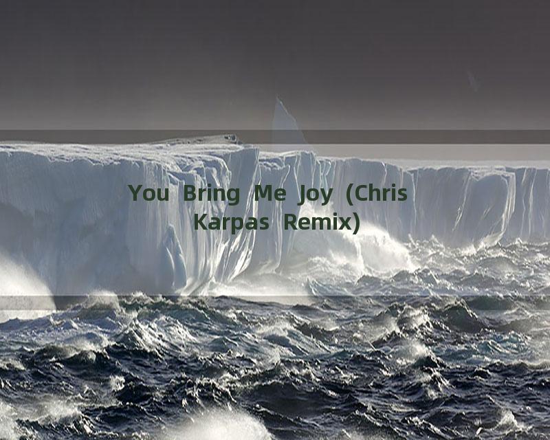 You Bring Me Joy (Chris Karpas Remix)