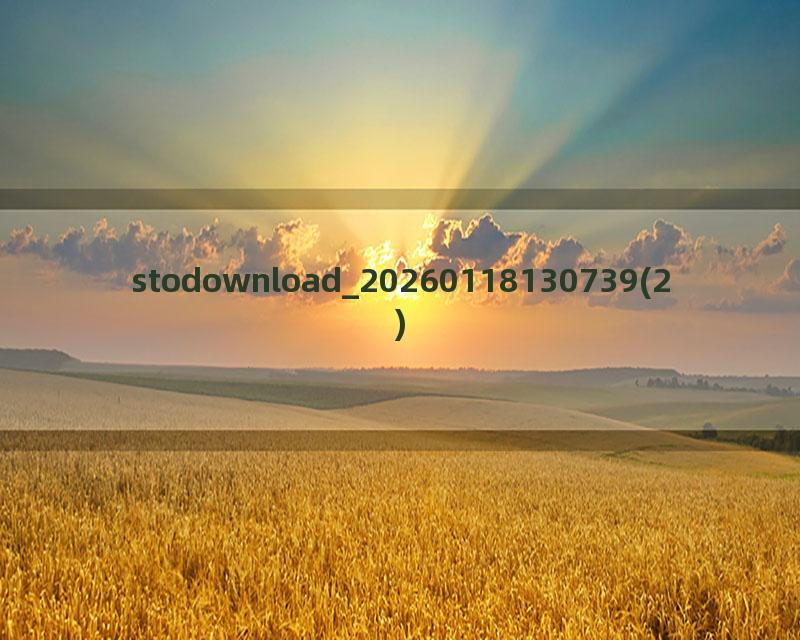 stodownload_20260118130739(2)