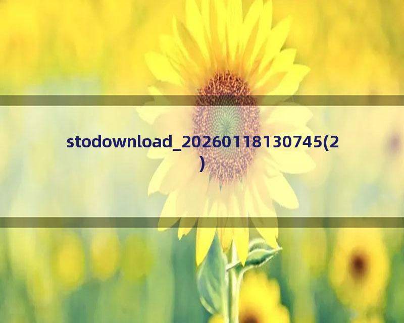 stodownload_20260118130745(2)