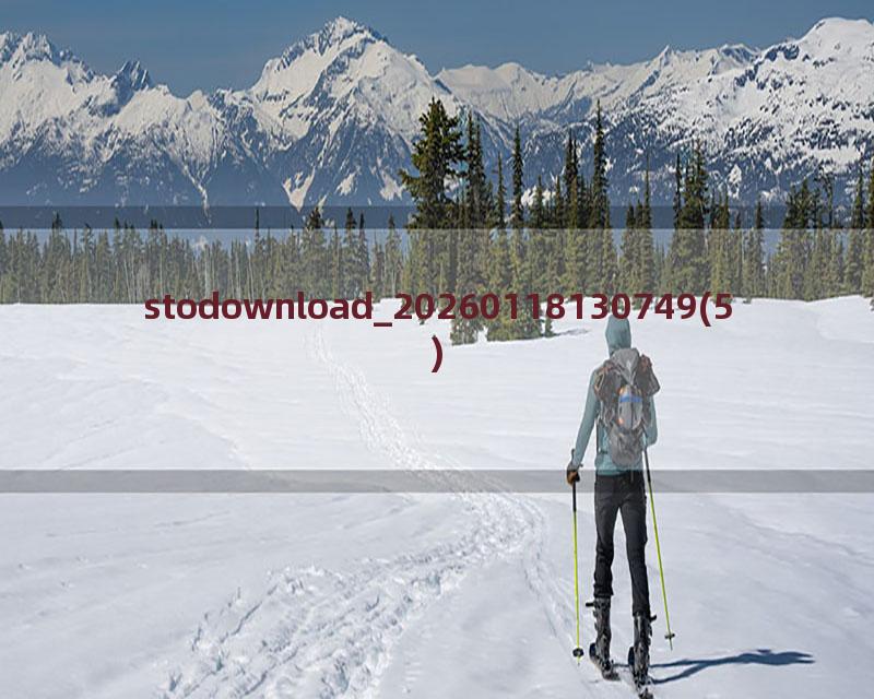 stodownload_20260118130749(5)