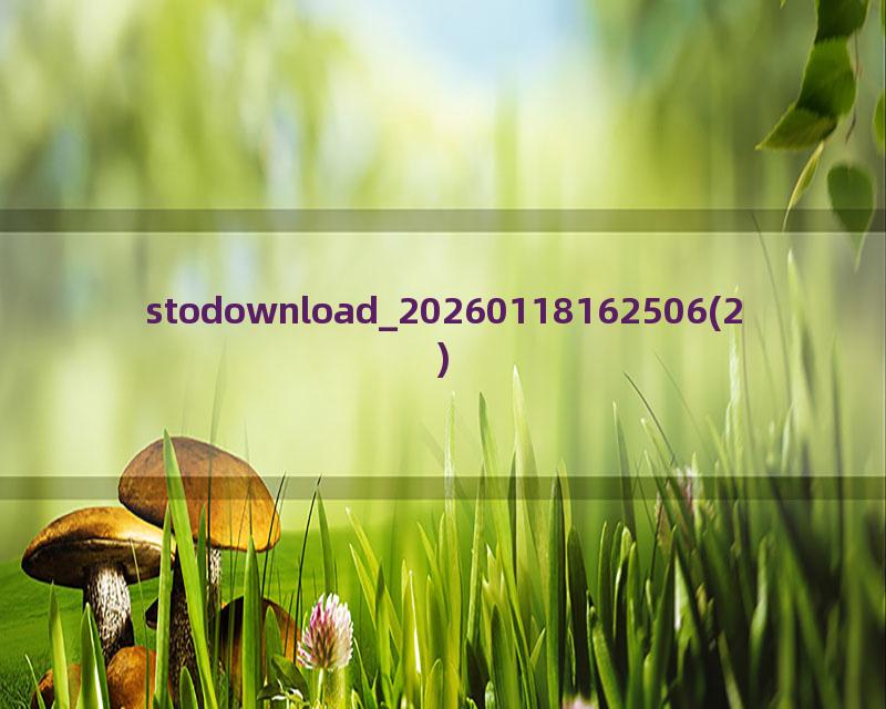 stodownload_20260118162506(2)